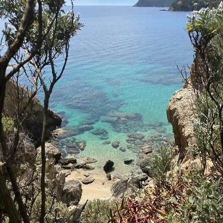 아파트 Giens T3, Air-conditioned, Ground Floor, Garden, Direct Access *